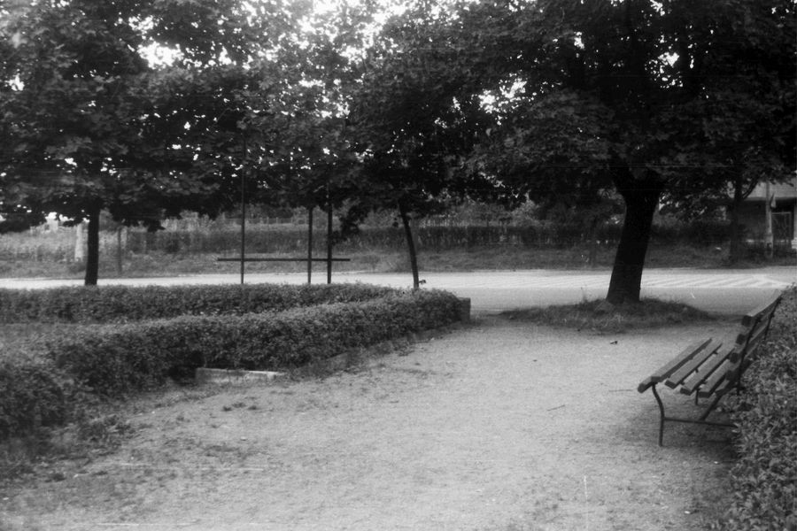 Chrzanów 1973 - widok na ul. Śląską z parku