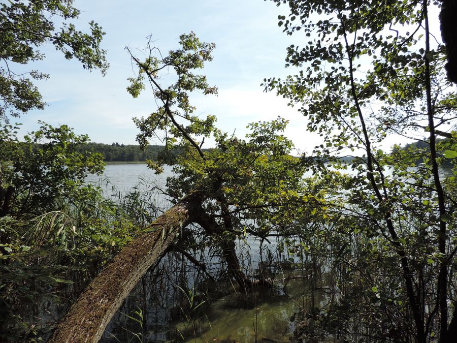 Jezioro Czajcze na Wolinie