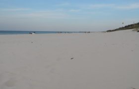 Bałtycka plaża niedaleko Rąbki